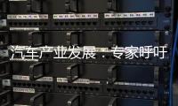 汽車產業發展：專家呼吁建立汽車芯片智庫