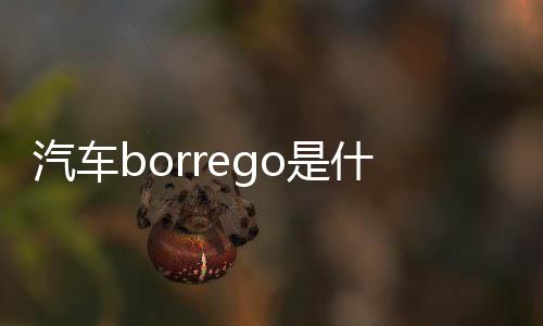 汽車borrego是什么車（borrego是什么車）