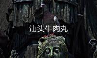 汕頭牛肉丸