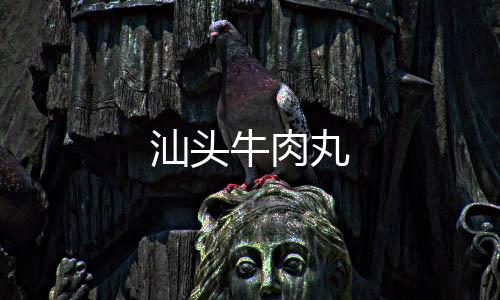 汕頭牛肉丸