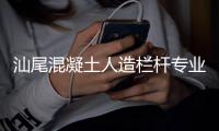 汕尾混凝土人造欄桿專業直銷廠家