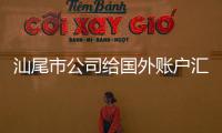汕尾市公司給國外賬戶匯款需要什么手續(xù)