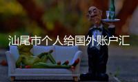 汕尾市個(gè)人給國外賬戶匯款需要什么手續(xù)