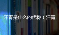 汗青是什么的代稱（汗青指什么代稱）