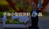 求與小型觀賞蝦（水晶、極火等）最佳混養(yǎng)觀賞魚(yú)？ 觀賞蝦混養(yǎng)最佳搭配