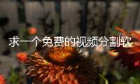 求一個免費的視頻分割軟件
