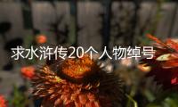 求水滸傳20個人物綽號、故事？ 水滸傳人物綽號