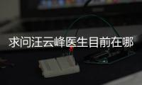 求問汪云峰醫(yī)生目前在哪個醫(yī)院？想預(yù)約掛號汪云峰做隆鼻手術(shù)難嗎