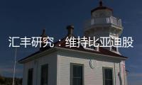 匯豐研究：維持比亞迪股份 “買入”評級