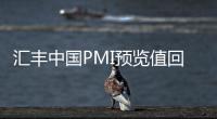 匯豐中國(guó)PMI預(yù)覽值回升 學(xué)者指寬松措施見(jiàn)效
