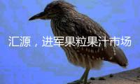 匯源，進軍果粒果汁市場！抓住機遇，贏得未來！