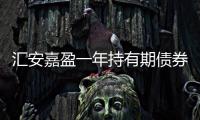 匯安嘉盈一年持有期債券A重倉股良品鋪?zhàn)拥?.04%