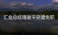 匯金總經(jīng)理謝平突遭免職 交行副行長接任