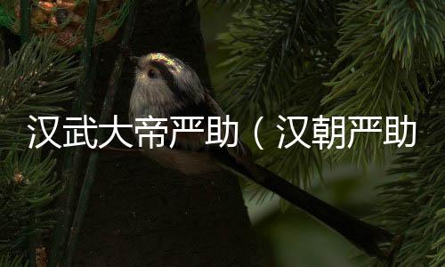 漢武大帝嚴(yán)助（漢朝嚴(yán)助）