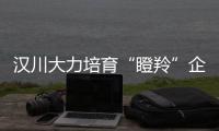 漢川大力培育“瞪羚”企業