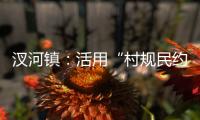 汊河鎮：活用“村規民約”撬動基層治理_