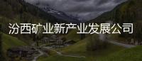 汾西礦業(yè)新產(chǎn)業(yè)發(fā)展公司：實招實干推動大會精神見行見效