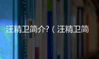 汪精衛(wèi)簡介?（汪精衛(wèi)簡介）
