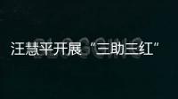汪慧平開展“三助三紅”暨“三服務”基層工作調研