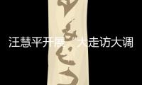 汪慧平開展“大走訪大調(diào)研大服務(wù)大解題”活動