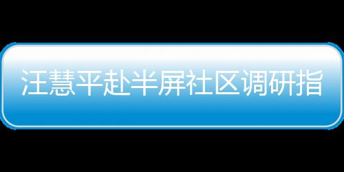 汪慧平赴半屏社區(qū)調(diào)研指導(dǎo)“三強(qiáng)兩促”專項(xiàng)活動