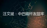 汪文斌：中巴鐵桿友誼牢不可破　將同巴方一道全力追兇