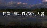 汪洋：堅決打好農村人居環境整治攻堅戰