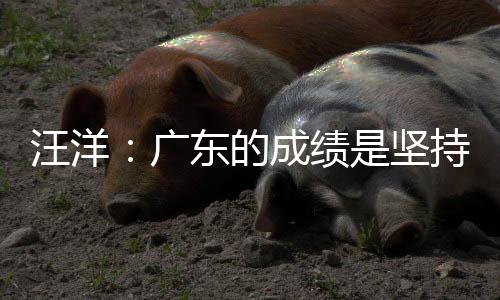 汪洋：廣東的成績是堅持改革開放的結果