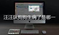 汪汪隊狗狗生病了是哪一集，狗狗生病的幾種表現
