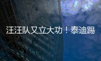 汪汪隊又立大功！泰迪踢掉主人長了2年的腎結石