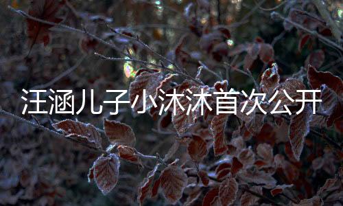汪涵兒子小沐沐首次公開亮相，父子相似度太高了