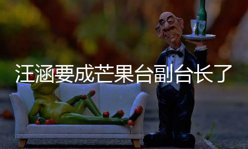 汪涵要成芒果臺(tái)副臺(tái)長(zhǎng)了嗎？為什么選汪涵而不是何炅？