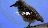 汪小敏助力