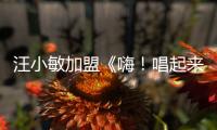 汪小敏加盟《嗨！唱起來》 隱身“歡唱團(tuán)”得分爆表