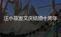 汪小菲發(fā)文慶結(jié)婚十周年，大s手戴鴿子蛋太亮眼，霍建華夫婦出鏡