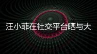 汪小菲在社交平臺曬與大S慶結婚十周年合照