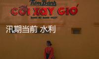 汛期當前 水利部門嚴防“千里之堤、潰于蟻穴”