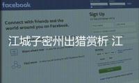 江城子密州出獵賞析 江城子密州出獵翻譯