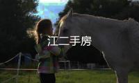 江二手房