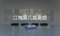 江梅第幾集離婚