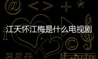 江天懷江梅是什么電視劇