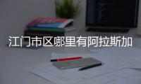 江門市區(qū)哪里有阿拉斯加犬賣(江門狗狗市場在哪里)
