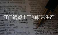 江門鋼塑土工加筋帶生產廠家