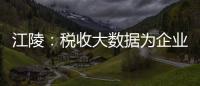 江陵：稅收大數(shù)據(jù)為企業(yè)發(fā)展“補(bǔ)鏈強(qiáng)鏈”