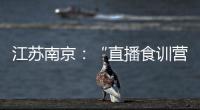 江蘇南京：“直播食訓營”培訓食品企業“直播帶貨”