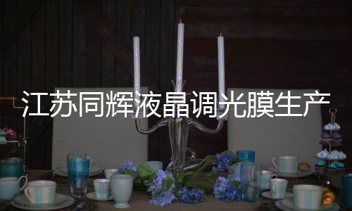 江蘇同輝液晶調(diào)光膜生產(chǎn)線竣工投產(chǎn)儀式在句容邊城鎮(zhèn)舉行,行業(yè)資訊