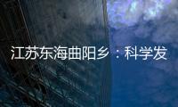 江蘇東海曲陽鄉(xiāng)：科學(xué)發(fā)展打造“晶彩”水晶街,行業(yè)資訊