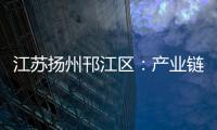 江蘇揚州邗江區：產業鏈黨建“三大工程”賦能高質量發展