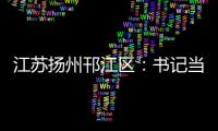 江蘇揚州邗江區：書記當“頭雁” “領飛”村經濟