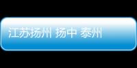 江蘇揚州 揚中 泰州 興化 70K